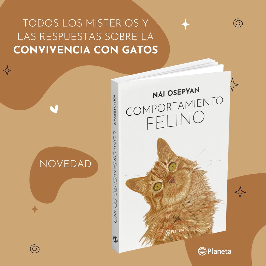 Comportamiento felino